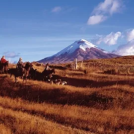 LEARN SPANISH IN QUITO&nbsp;8