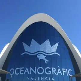 LEARN SPANISH IN VALENCIA 9